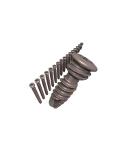 Ø 3.5 mm locking screw titanium torx head