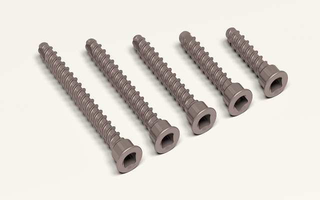 Titanium cortical screw, square head