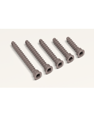 Titanium cortical screw, square head