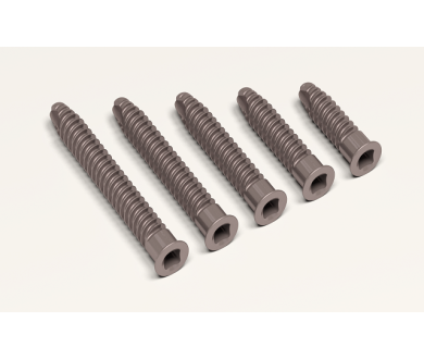 Titanium cortical screw, square head