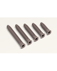 Titanium cortical screw, square head