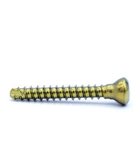 Titanum cortical screw hexagonal head